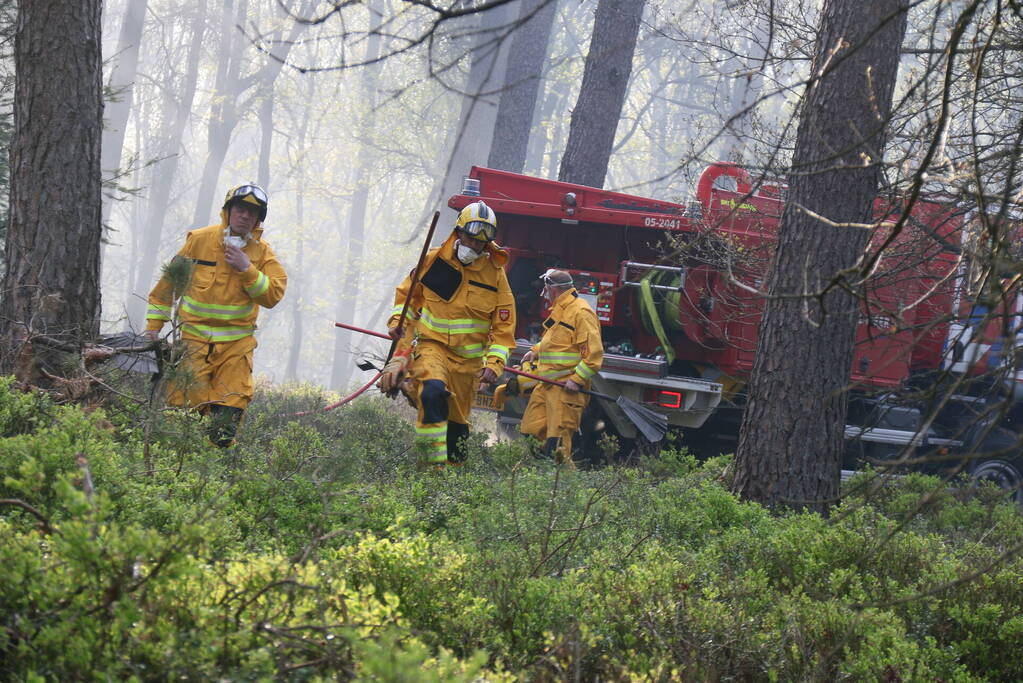Grote brand in natuurgebied