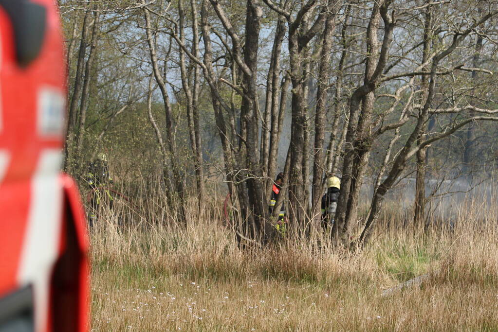 Boswachter ontdekt brand in natuurgebied
