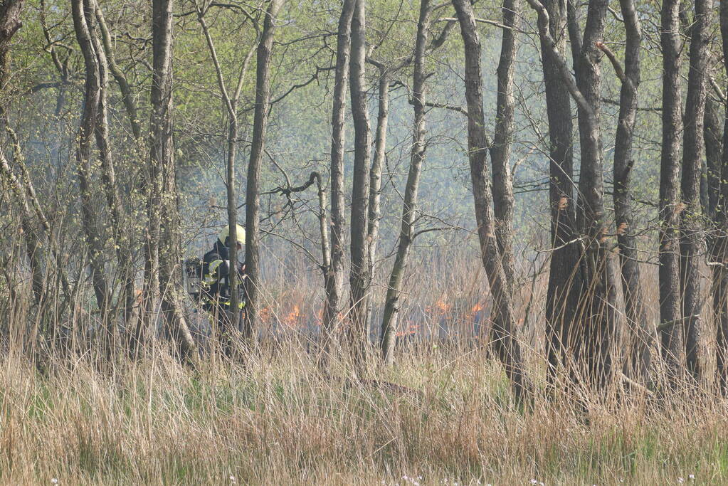 Boswachter ontdekt brand in natuurgebied