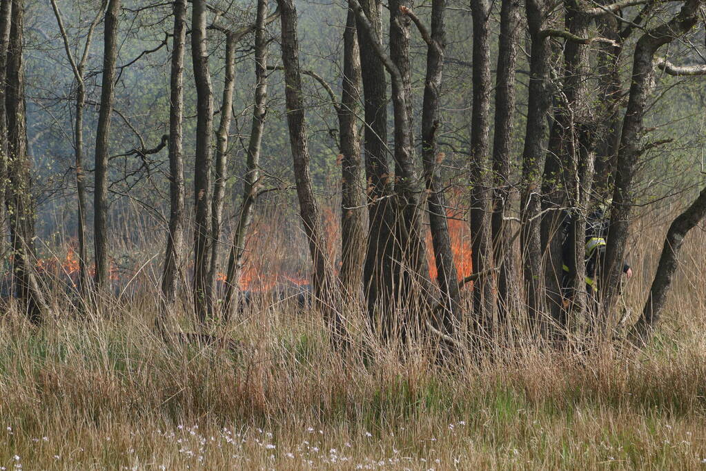 Boswachter ontdekt brand in natuurgebied