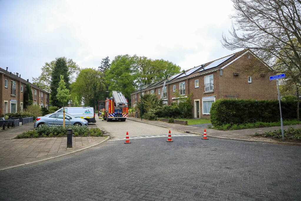 Kat Pika laat zich niet vangen