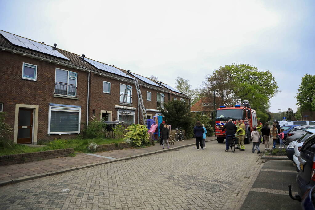 Kat Pika laat zich niet vangen