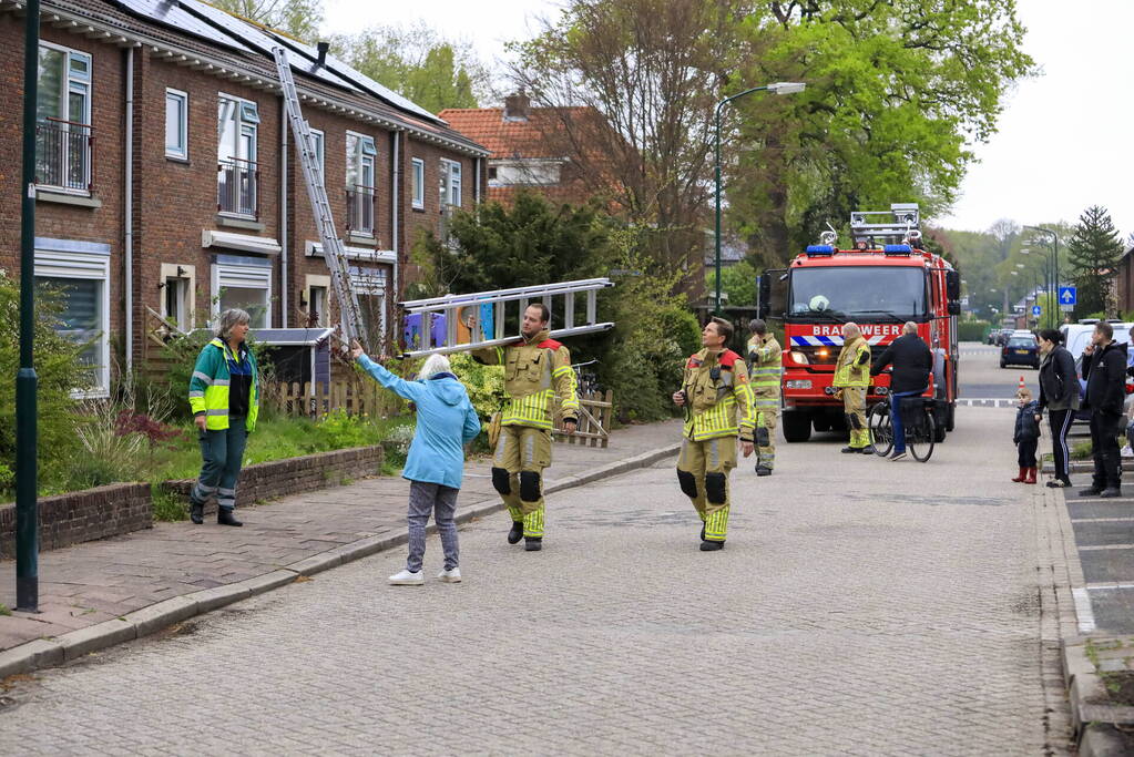 Kat Pika laat zich niet vangen