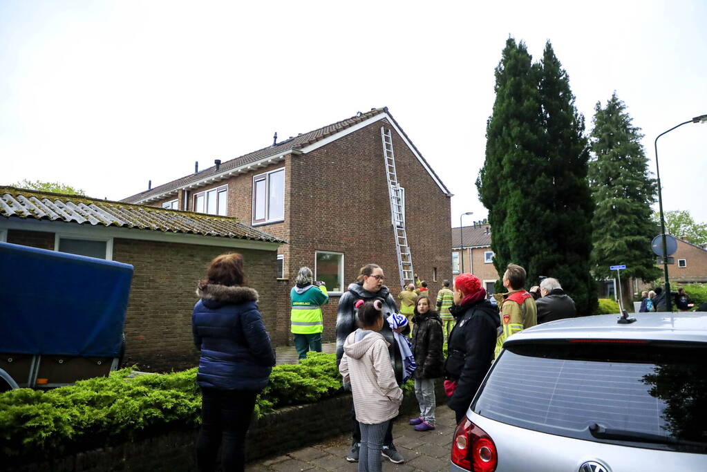 Kat Pika laat zich niet vangen