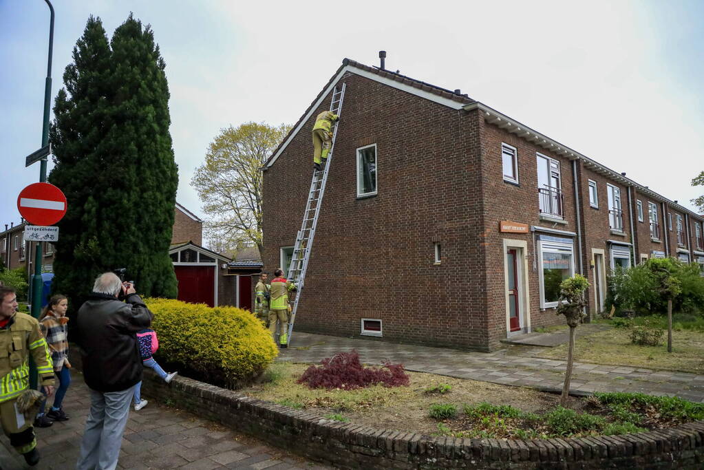 Kat Pika laat zich niet vangen