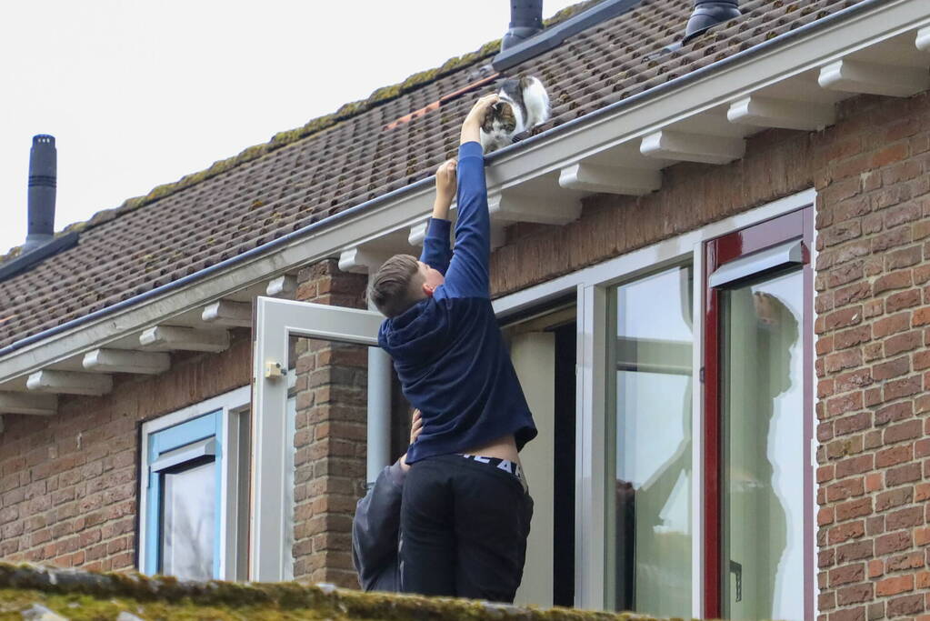 Kat Pika laat zich niet vangen