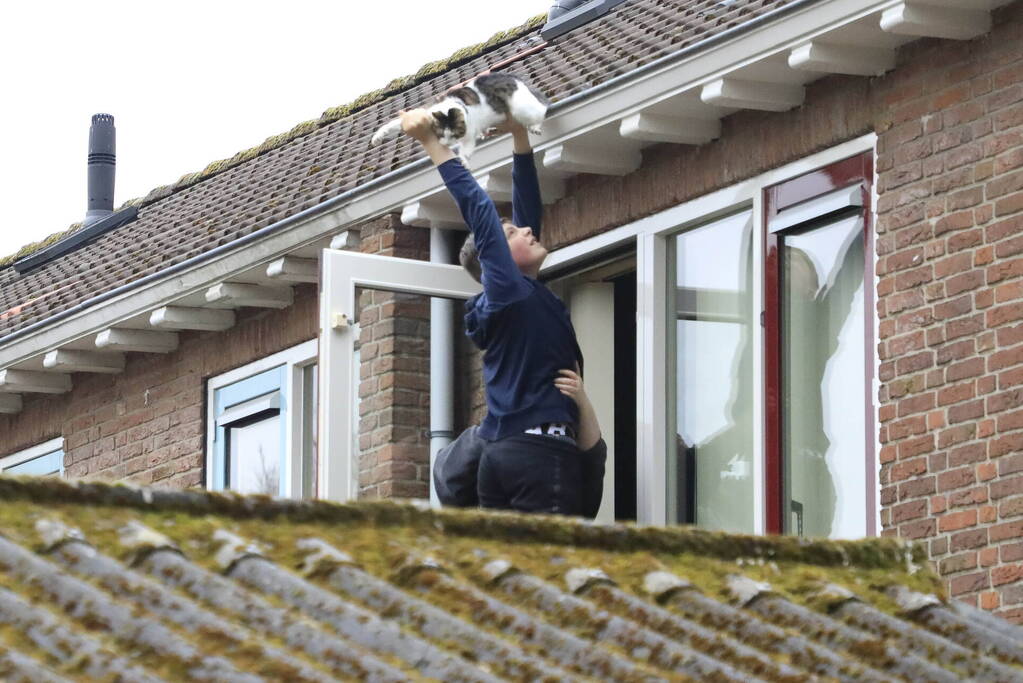 Kat Pika laat zich niet vangen