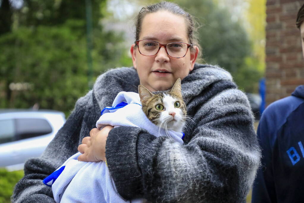 Kat Pika laat zich niet vangen