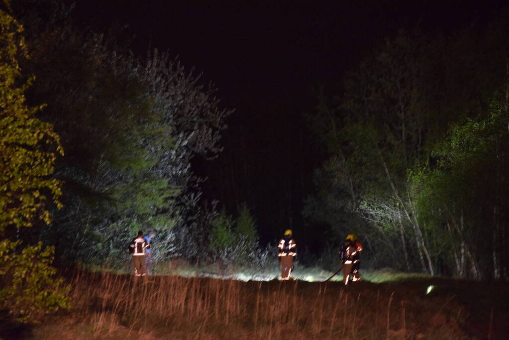 Brandweer groots ingezet voor bosbrand