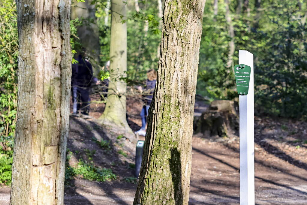 Vermiste Martin den Uijl gevonden in bosgebied Nimmerdor