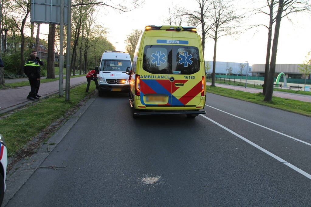 Fietser botst op boom en raakt gewond