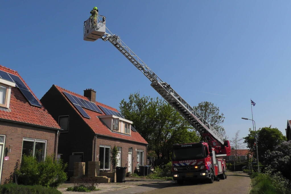 Kraai dagenlang vast in schoorsteen