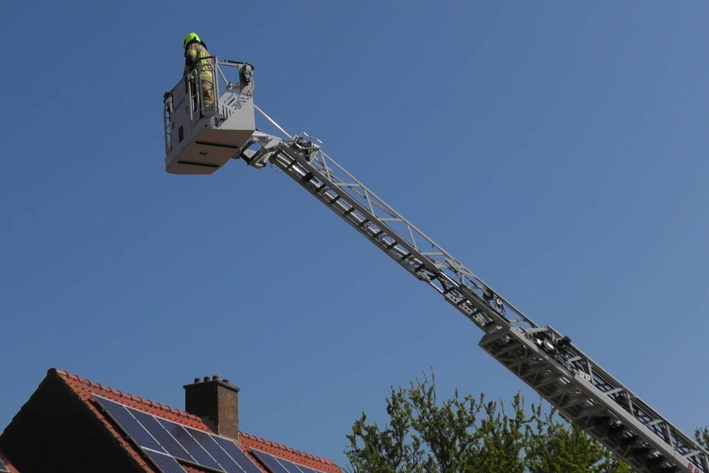 Kraai dagenlang vast in schoorsteen