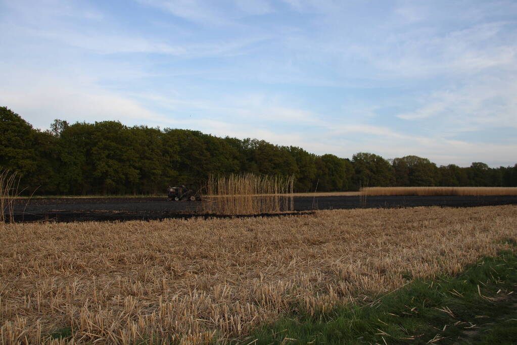Graanveld grootdeel verwoest vanwege brand