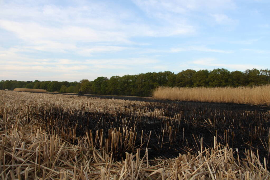 Graanveld grootdeel verwoest vanwege brand