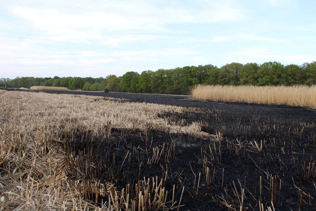 Graanveld grootdeel verwoest vanwege brand