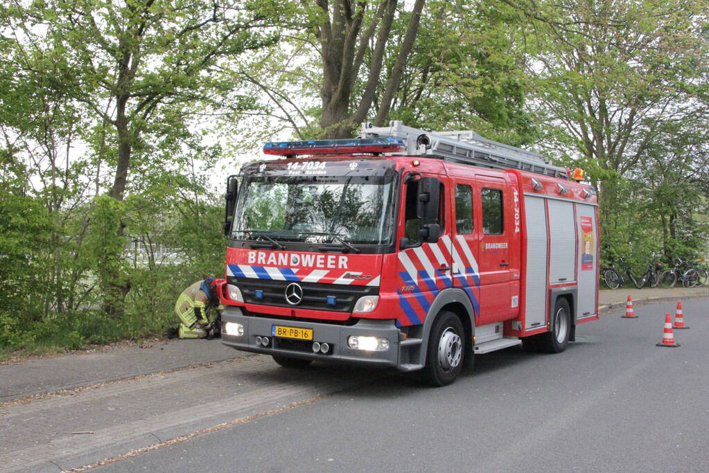 Vlammen bij brand naast sportveld