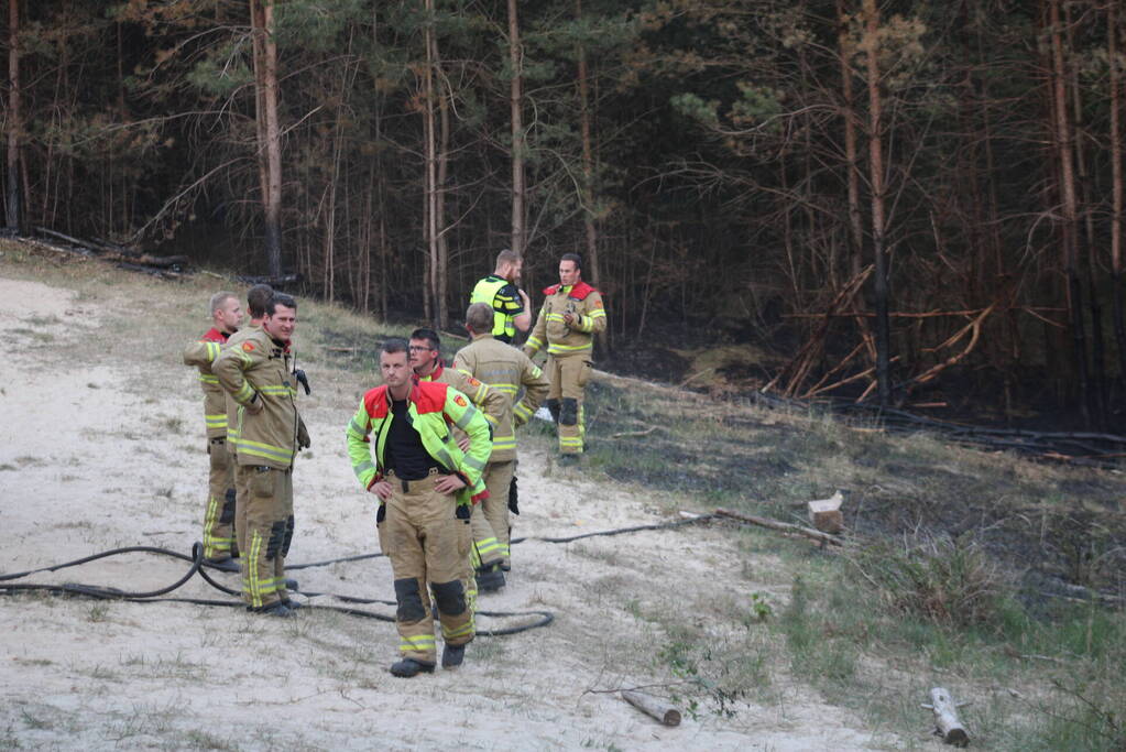 Hardlopers ontdekken bosbrand