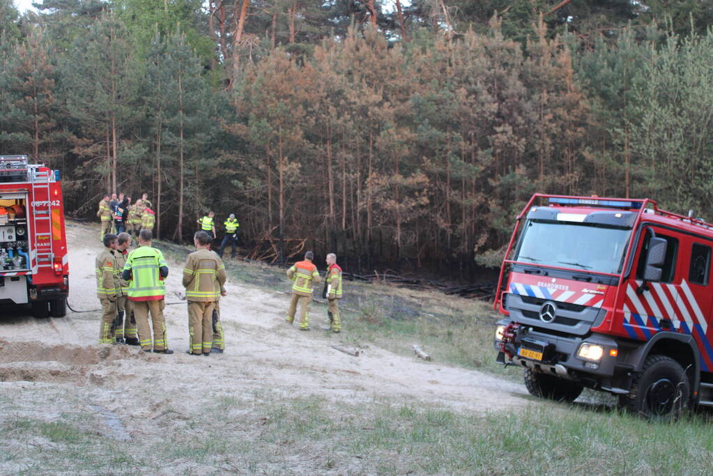 Hardlopers ontdekken bosbrand