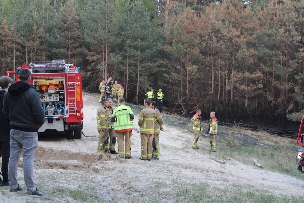 Hardlopers ontdekken bosbrand