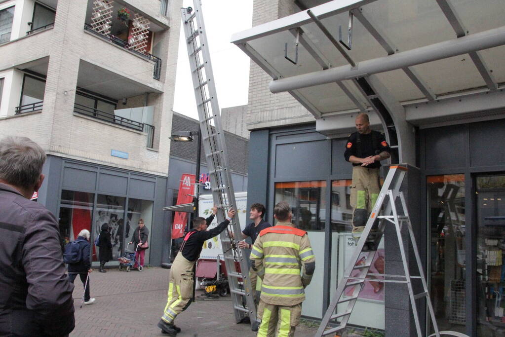 Hulpdiensten redden vastzittende baby-eendjes