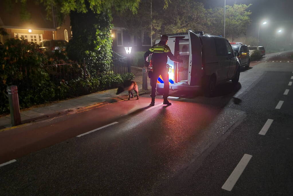 Zoektocht naar overlopen inbrekers