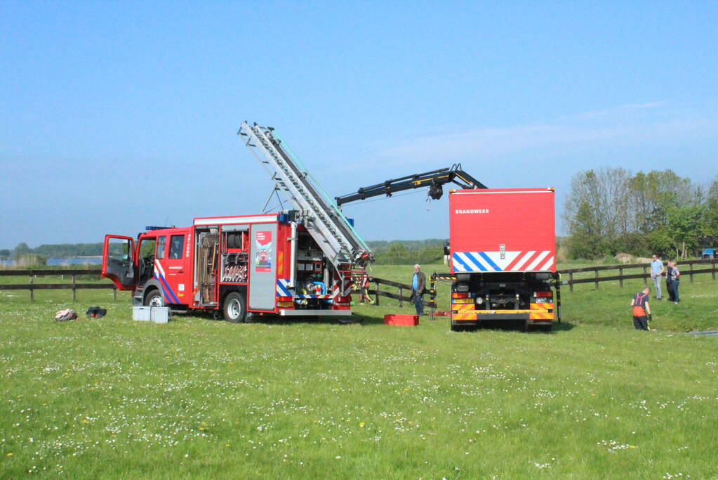 Brandweer redt paard uit sloot