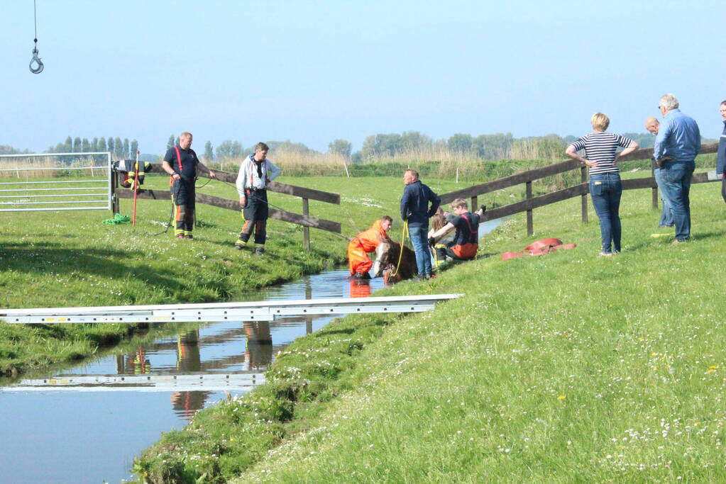 Brandweer redt paard uit sloot