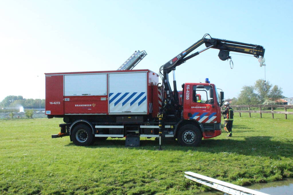 Brandweer redt paard uit sloot