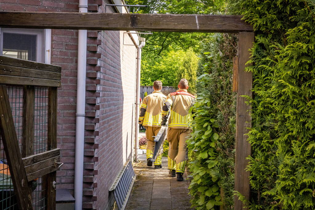 Brandweer redt onbekende kat uit boom