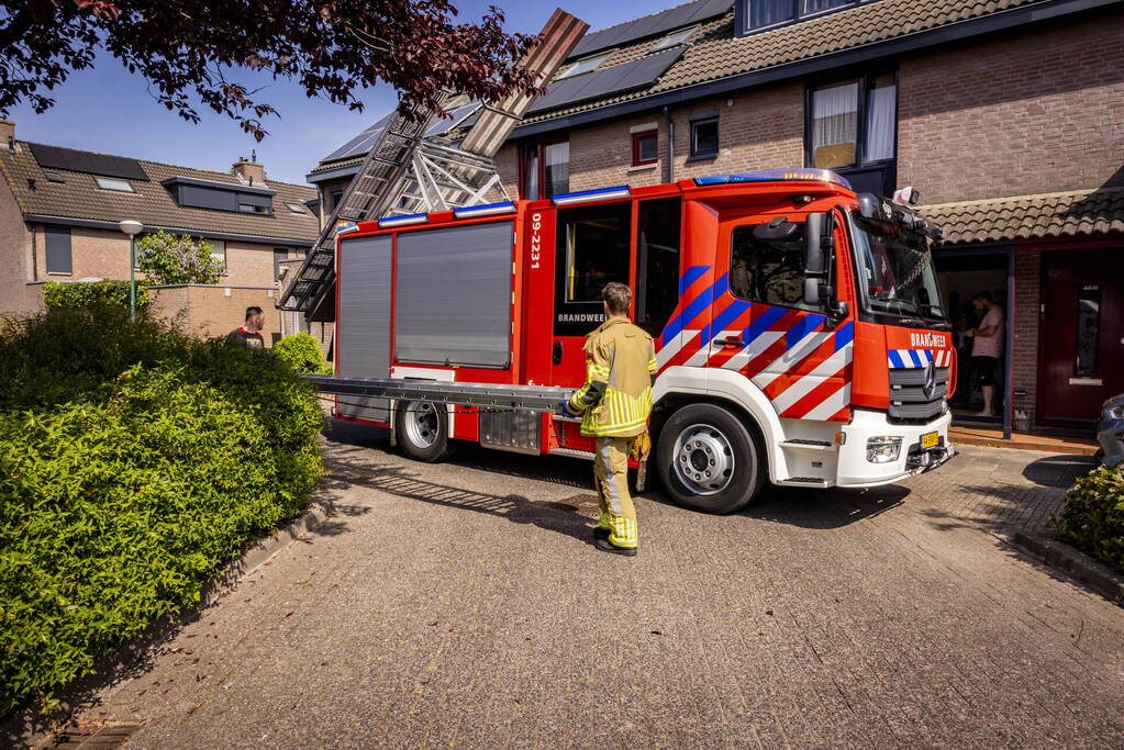 Brandweer redt onbekende kat uit boom