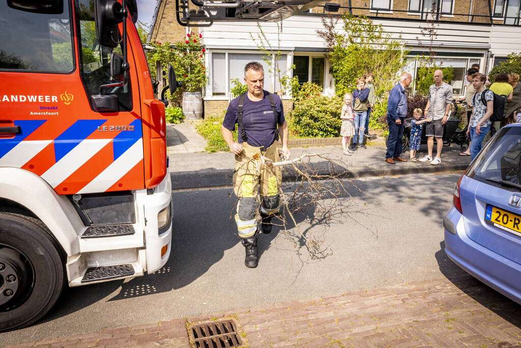 Veel bekijks bij gevaarlijk hangende tak