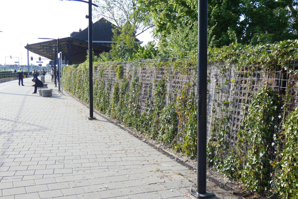 Heg in brand op treinstation