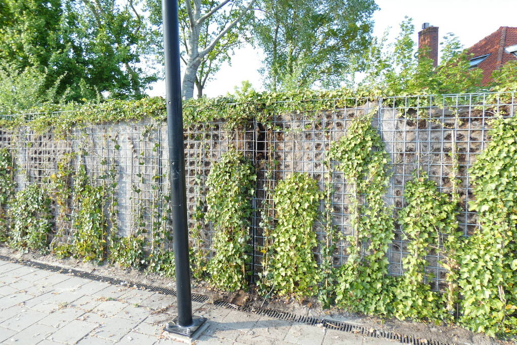 Heg in brand op treinstation