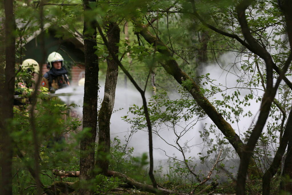 Brandweer blust brand in bosgebied