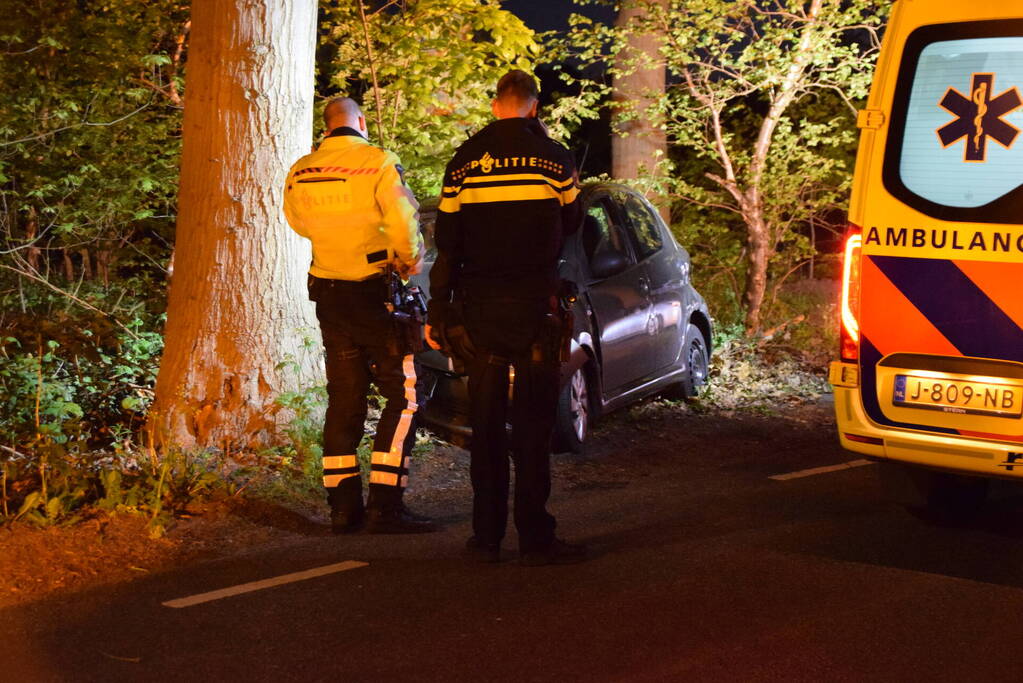 Automobilist rijdt tegen boom