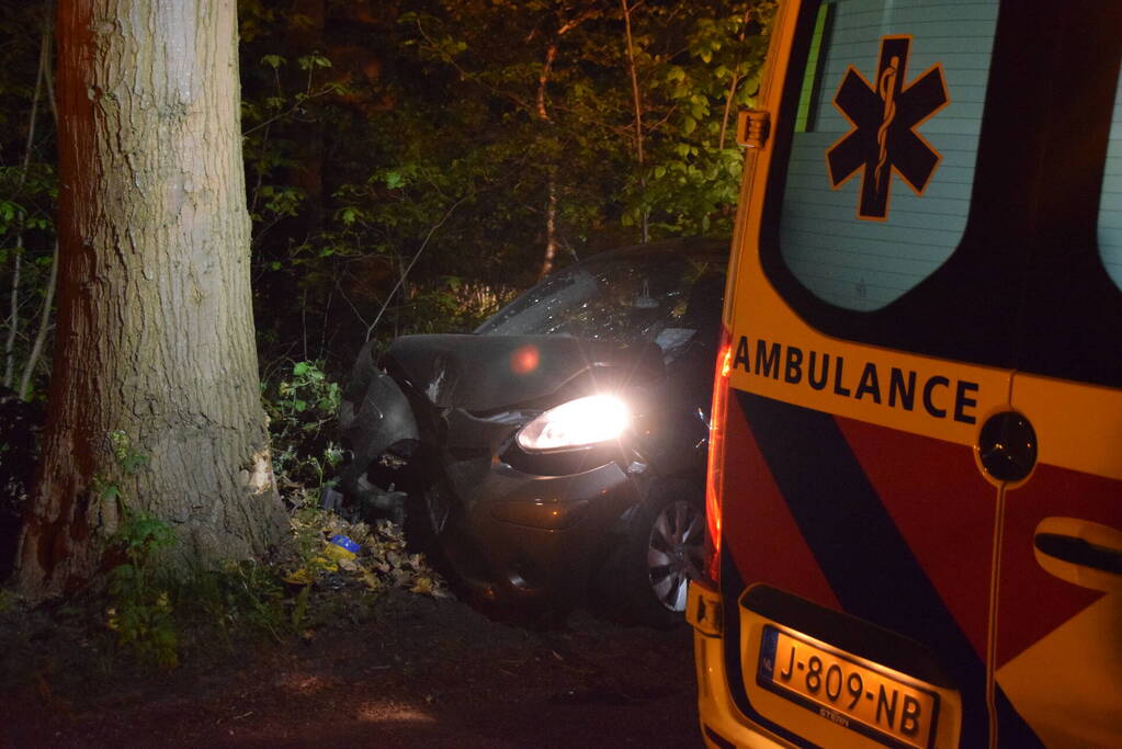 Automobilist rijdt tegen boom