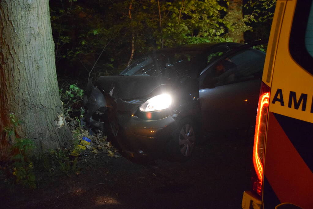 Automobilist rijdt tegen boom