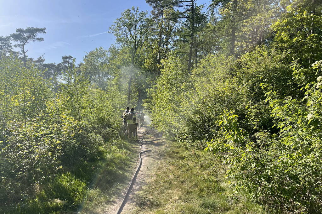 Brand in bosperceel snel geblust