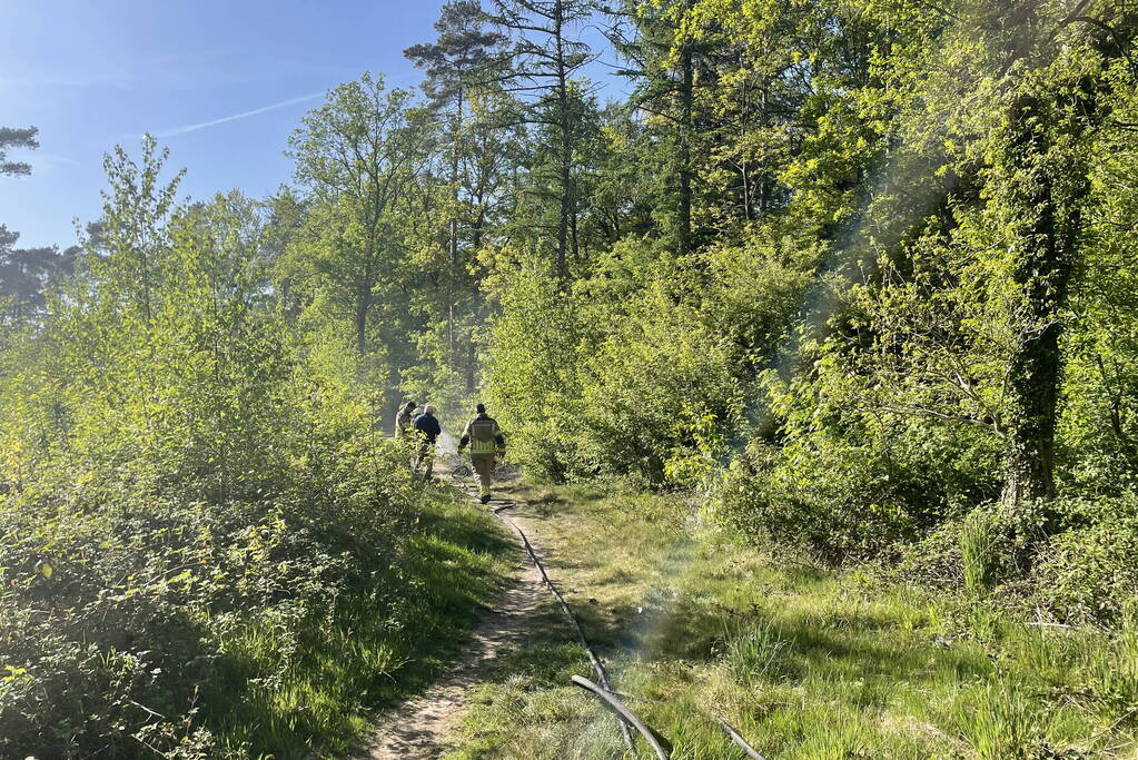 Brand in bosperceel snel geblust