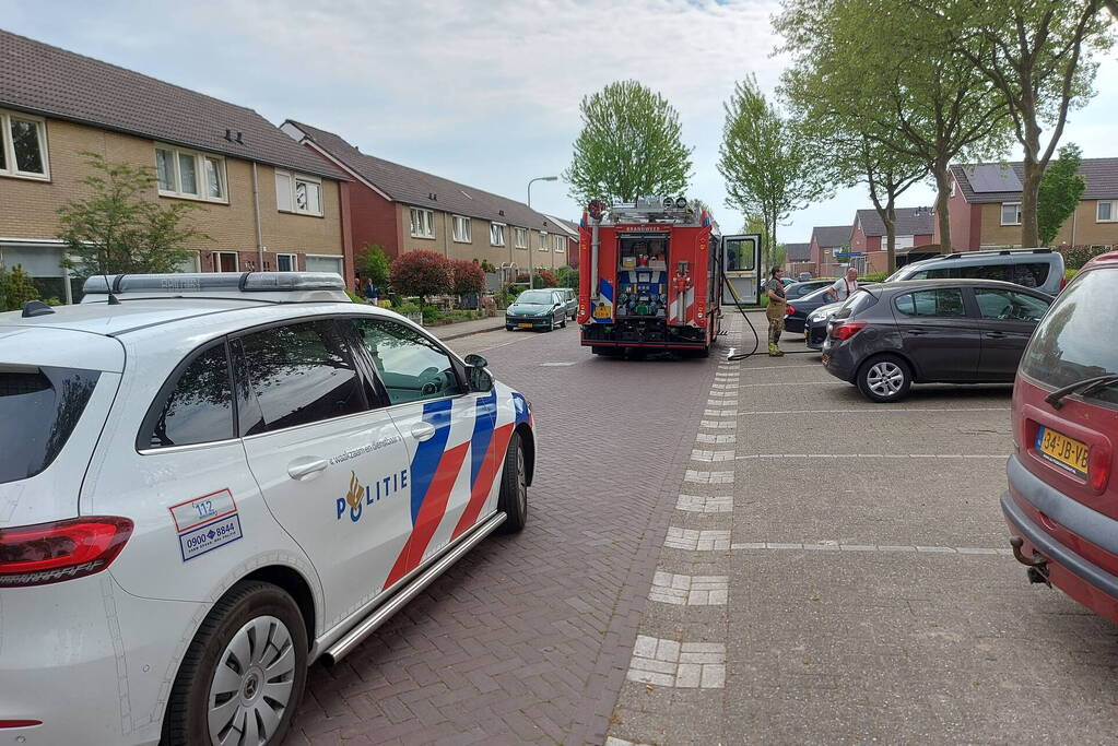 Brand in coniferenhaag snel geblust