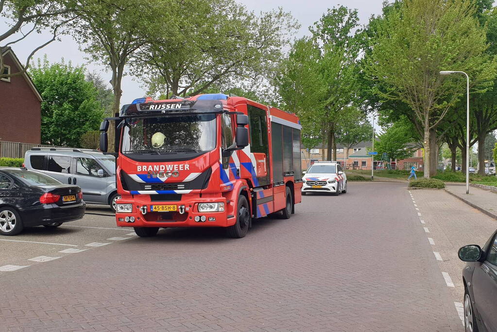 Brand in coniferenhaag snel geblust