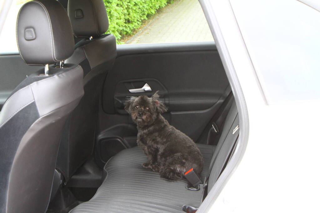 Woning ontruimd vanwege gaslucht