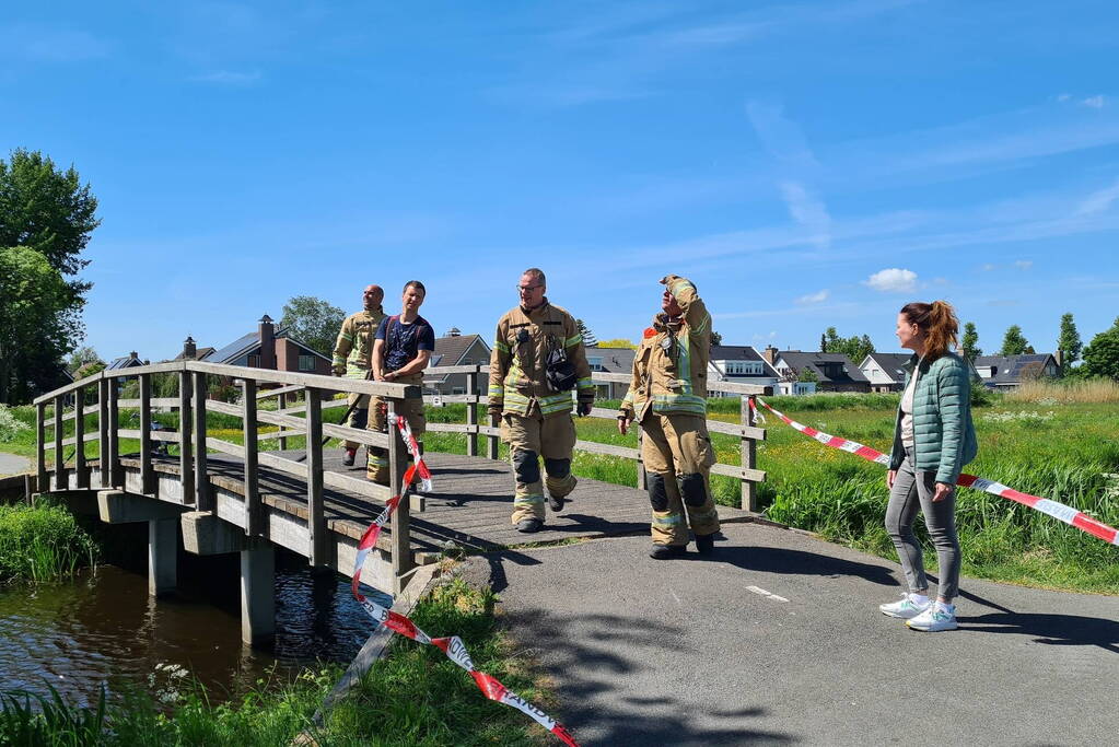 Brandweer probeert kat uit boom te redden