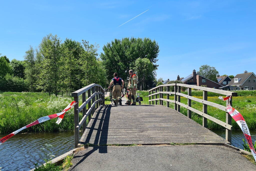 Brandweer probeert kat uit boom te redden