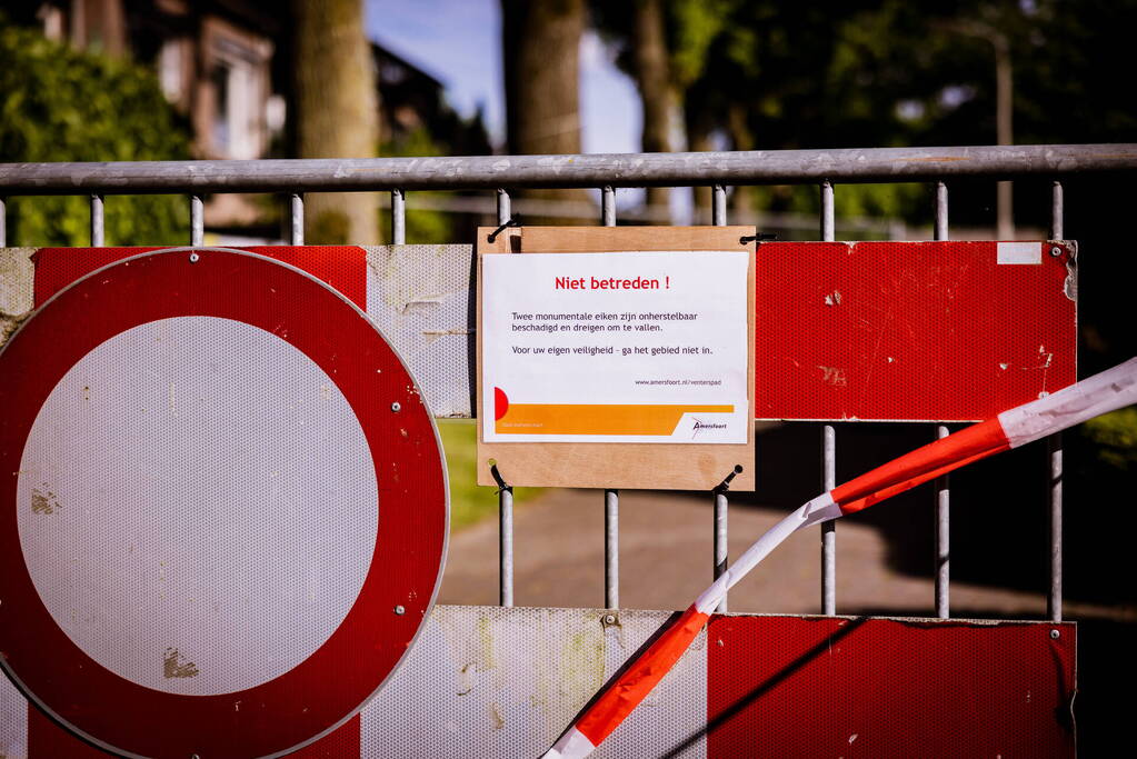 Monumentale eikenbomen onherstelbaar beschadigd