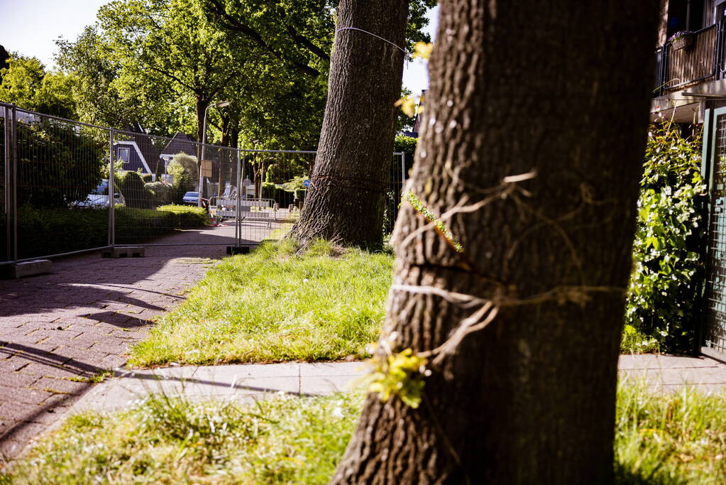 Monumentale eikenbomen onherstelbaar beschadigd