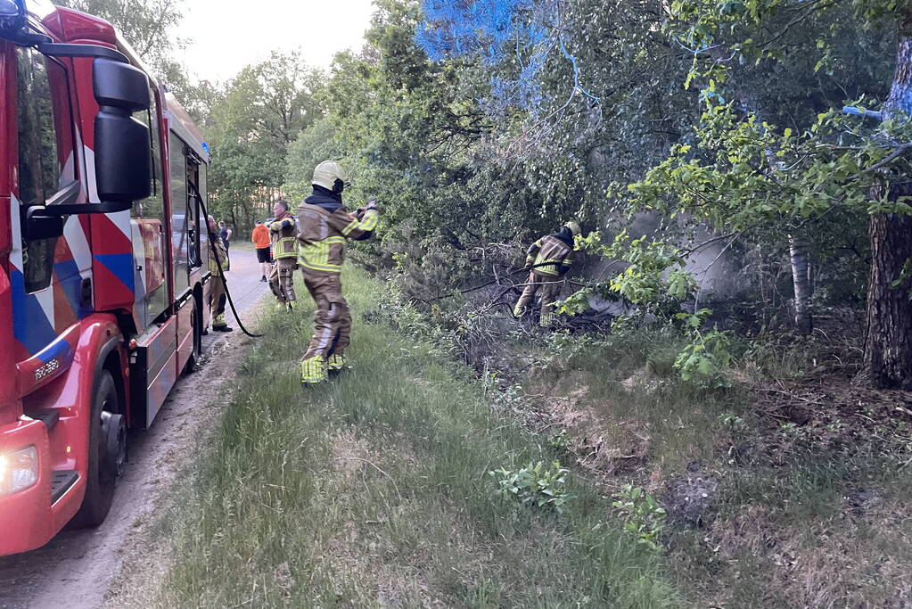 Bosbrand snel onder controle