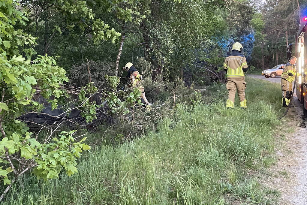 Bosbrand snel onder controle