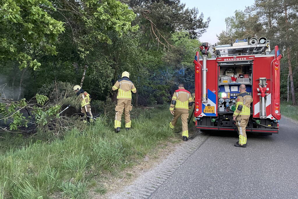 Bosbrand snel onder controle